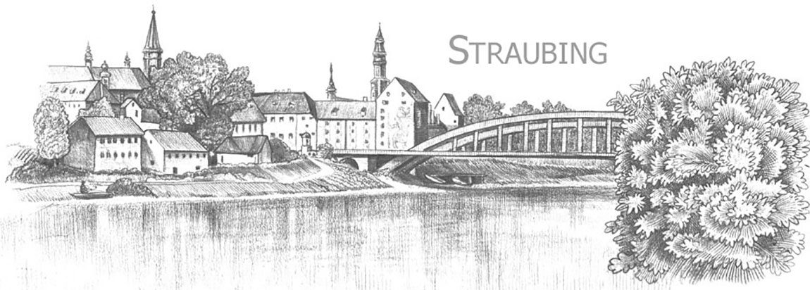 straubing-klein straubing-klein